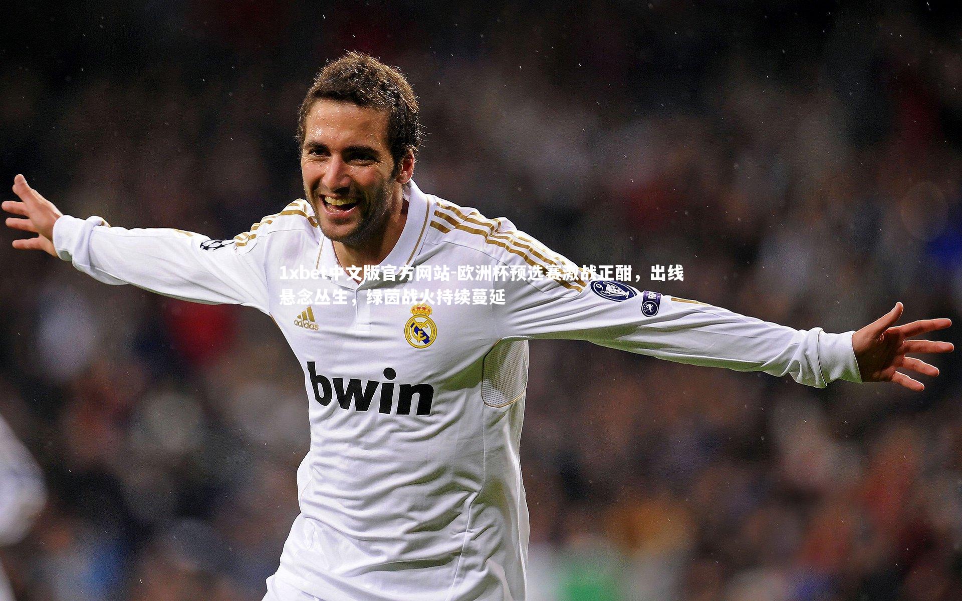 1xbet中文版官方网站-欧洲杯预选赛激战正酣，出线悬念丛生，绿茵战火持续蔓延